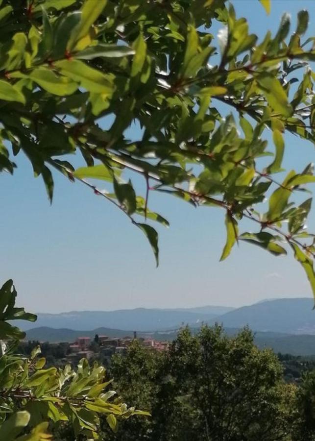 Beautiful Apartment With Exclusive Garden And Terrace Monteverdi Marittimo Exteriör bild